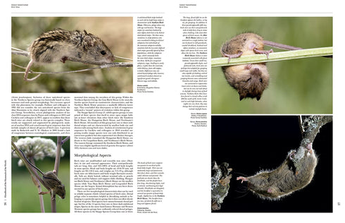 Handbook of the Mammals of the World no 7 - Rodents II -  Lynx 2017